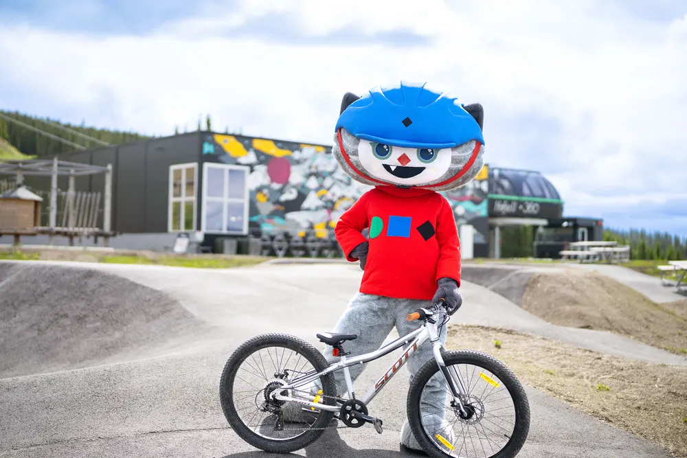 Sommersykling i grønne omgivelser i Hafjell Bike Park